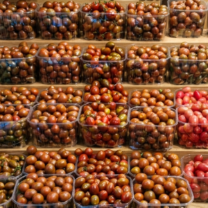 Tomate Black Pearl